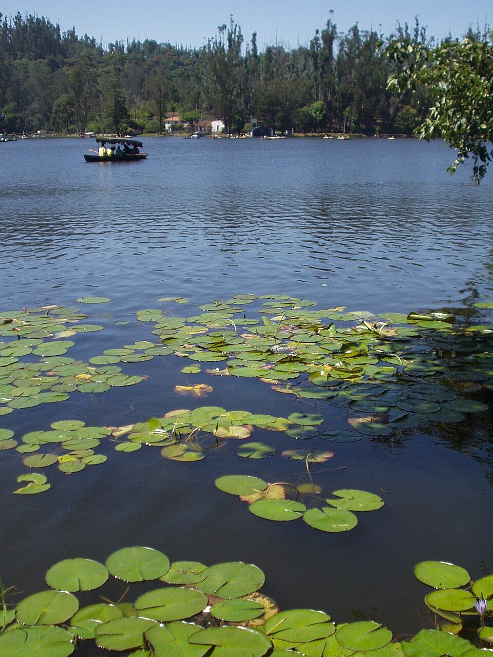 Multi-Day Family Tours & Vacation Cabs - MJ Car Rentals