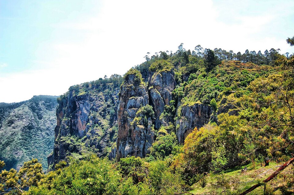 Pillar Rocks Kodaikanal