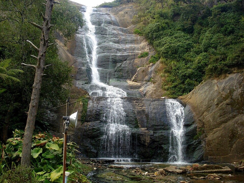 Silver Cascade Falls and Pine Forest