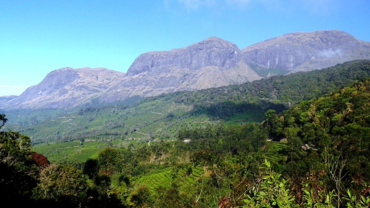 Eravikulam National Park Rajamalai