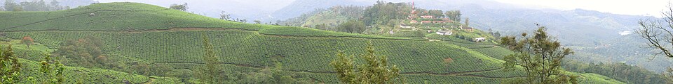 Tata Tea Museum Munnar