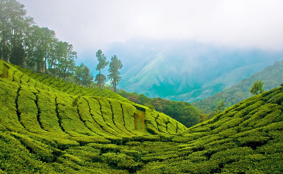 Top Station and Echo Point Munnar