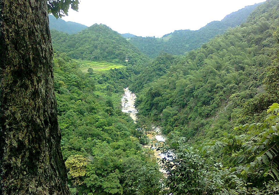 Pachamalai Valley Viewpoints