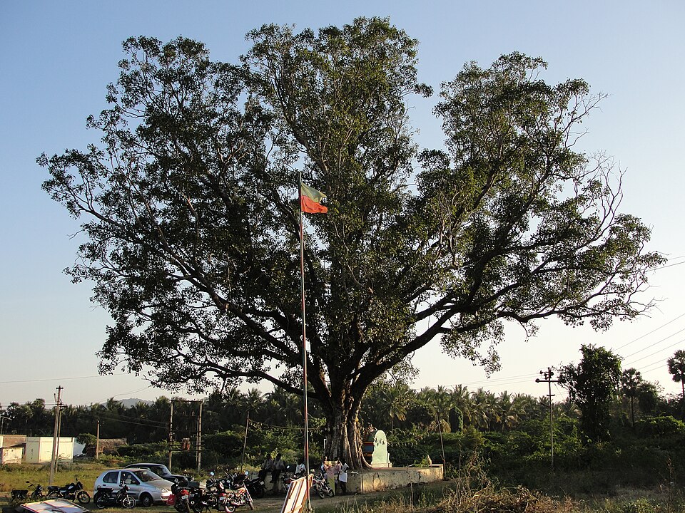Kumaravayalur Village Shrines